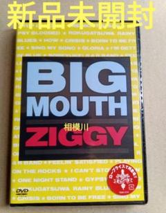 ZIGGY CD DVDセット Amazon.co.jp: KOOL KIZZ - ZIGGY: ミュージック