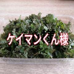 かなざわ様　花芽付き山椒の葉　山菜　山椒　山椒の葉　花山椒　500g imgrc0072287663.jpg