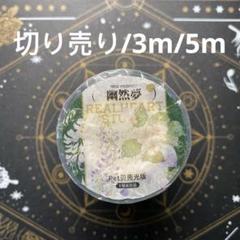 7211】海外 マステ 切り売り/3/5m巻売り 貝殻光マスキングテープ