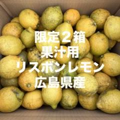 【限定２箱】レモン 10kg 広島県産 農薬不使用のサムネイル