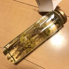 ハーバリウム クリアガラスボトル