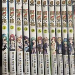 賢者の孫/角川コミックスエース 全巻セット 25巻セット/25029-0047-S78 賢者の孫/角川コミックスエース 全巻セット 25巻セット/25029