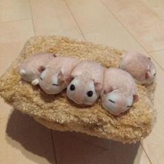 フェリシモ　ハムスター　ティシュケース　ティシュボックス