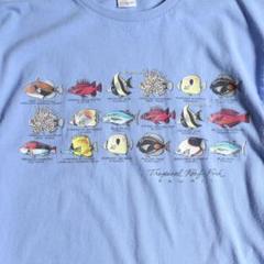 デザイン◎ ~00s Hanes Tropical Fish Print Tee