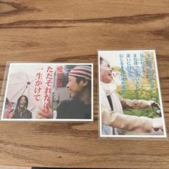 きむ　ポストカードセット　80枚。まとめ売り 詩人きむ 言葉の応援ポストカード 「自分の物語を」 | いろは