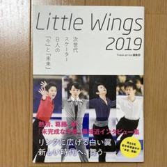 Little Wings 2019