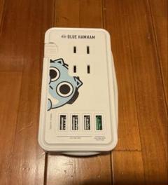 グルマンディーズ　ブルーハムハム MBHM-07B USB ACタップ付き