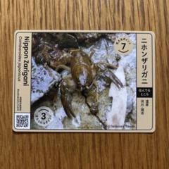 ニホンザリガニ　北海道　生物系　カード