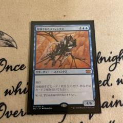 mtg 聖別されたスフィンクス　2X2
