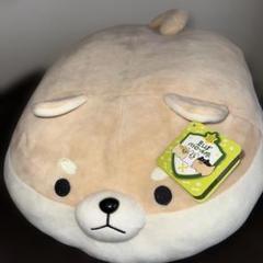 【値下げ】豆しばパトロール隊　ぬいぐるみ Amazon.co.jp: もち蔵 豆しば パトロール隊 ぬいぐるみ ごろねこ