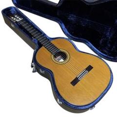 2025年最新】takamine ハードケースの人気アイテム - メルカリ