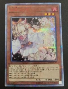 【特価】遊戯王　灰流うらら　20th シークレット　2枚 灰流うらら 20th シークレットレアの通販 UCC（749801295） | magi