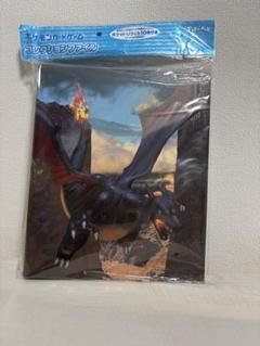ポケカ 色違いのリザードン コレクションファイル 未開封品