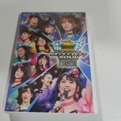 おまとめ値引可️⭕️モーニング娘。田中れいな卒業記念日コンサート2013
