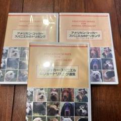 ヒューマンアカデミー トリマー DVD コッカースパニエル ヒューマンアカデミー トリマー DVD コッカースパニエル - メルカリ