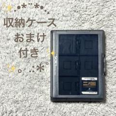 DS 二ノ国 漆黒の魔導士 ／3DS カードケース 12枚 黒