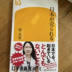 日本が売られる