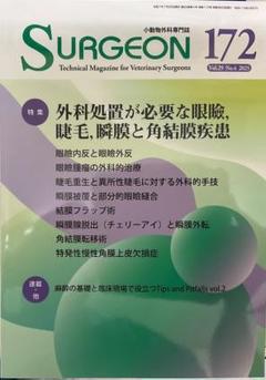 裁断済　SURGEON 172