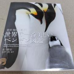 世界で一番美しい ペンギン図鑑 絶景・秘境に息づく