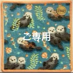 フェイラー完売品❤️WEB限定✨プカプカラッコ❤︎フォロワー様限定❤︎ハンカチ