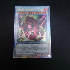 【PSA10】遊戯王　蛇眼の断罪龍　25thシク、クオシク 遊戯王 蛇眼の原罪龍 25thシークレット クオシク 融合モンスター