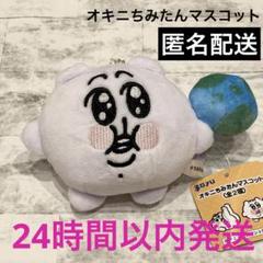 2025年最新】ちみたん ぬいぐるみの人気アイテム - メルカリ