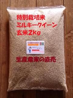 ホタル舞う熊本産お米20kg - メルカリ