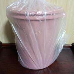最終値下げ！！ タッパーウェア マキシデコレーター 5500ml ローズピンク 新品未使用✴︎ タッパーウェア マキシデコレーター5.5L✴︎10年