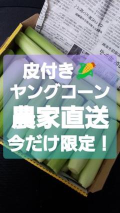 ★数量限定★農家直送☆皮付き☆ヤングコーン¥1,100