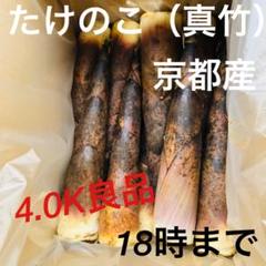 【18時まで】たけのこ タケノコ 真竹 4K 良品 京都 山城産 2