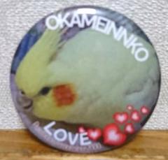 【新品】オカメインコ ラブ 缶バッチ・ルチノ一♪1個♪可愛い❤️