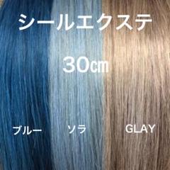 2025年最新】インナーエクステの人気アイテム - メルカリ