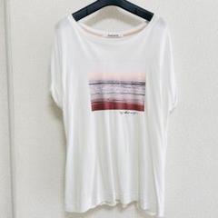 RADIATE ホワイト フォト Tシャツ Mサイズ