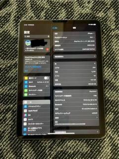 iPad Pro11インチ 第2世代 Cellular SIMフリー 512GB