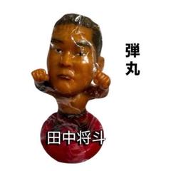 2025年最新】プロ格ヒーローズフィギュアの人気アイテム - メルカリ