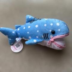 水族館 ぬいぐるみ ジンベエザメ あるまど マリンポーチ ペンケース マスコットのサムネイル