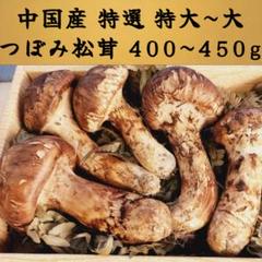中国産 L~2L特大【天然 つぼみ 松茸 約400g】4~7本 お中元 土瓶蒸 中国産 L~2L特大~大【つぼみ松茸 400g 】3～8本 お歳暮 - メルカリ