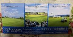 ココパリゾートクラブ ゴルフプレー無料券