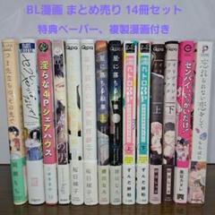 【正規逆輸入品】 BL メルカリ - 14冊 まとめ売り マンガ コミック 女性漫画