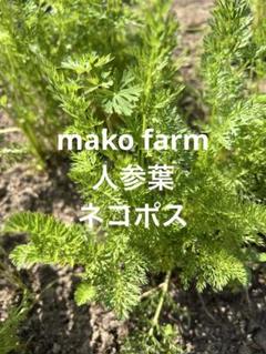野菜詰め合わせセット★人参葉★ネコポスのサムネイル