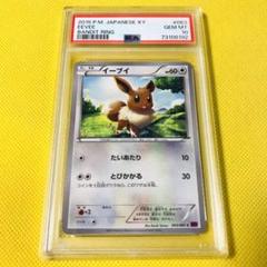 ★PSA10★【イーブイ/C/XY7】2015 EEVEE 063/081 ☆PSA10☆【イーブイ/C/XY7】2015 EEVEE 063/081 - メルカリ