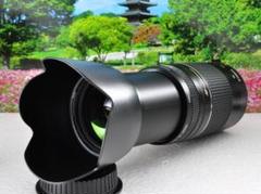 a*☆様 特別価格セット専用出品Canon x3 超望遠レンズセット 91qEy7uQv-L._UF350,350_QL50_.jpg