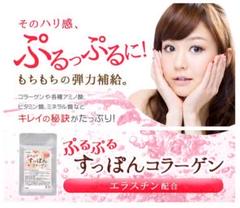 ぷるぷるすっぽんコラーゲン 約3ヶ月分 ぷるぷるお肌へ5大美容成分を配合
