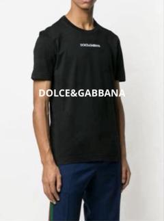 【Dolce&Gabbana】グラフィックプリント クルーネック Tシャツ DOLCE&GABBANA ドルチェ&ガッバーナ Tシャツ サイズ:44 MADONNA