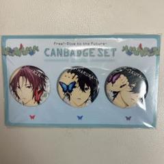 butterfly free 缶バッジ Free ! 七瀬遙 缶バッジ Butterfly 31個セット