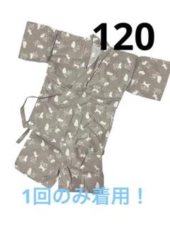 動物柄 ベージュ 甚平 綿100%