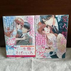 愛人契約のち溺愛!?～売れないTL漫画家はドS御曹司に甘く啼かされる～ 全②巻