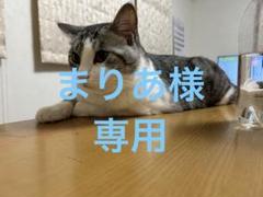 【正規品新品未使用】ククシュゼット　ダルメシアン&プードル 予約 7月下旬予定 ククシュゼット 正規商品 ヘア アクセ