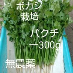 ボカシ栽培の無農薬パクチー300g