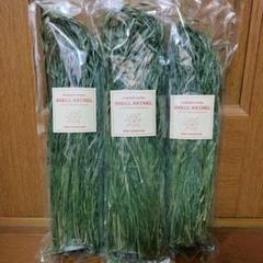 ウーリー　ティモシー　ヤング　2袋セット売り 高原の朝採りティモシー「ヤング」野草MIXタイプ 500g | うさぎ
